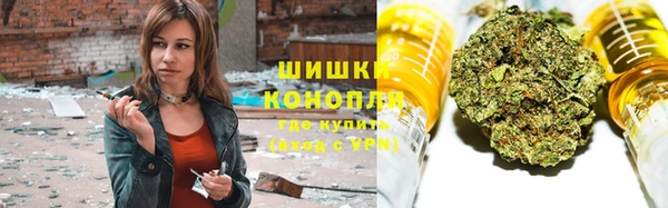 apvp Алзамай