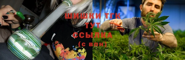 молекула духа Алексеевка