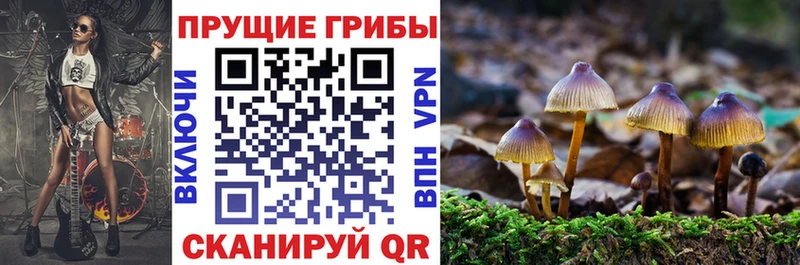 Псилоцибиновые грибы мухоморы  купить закладку  Волоколамск 