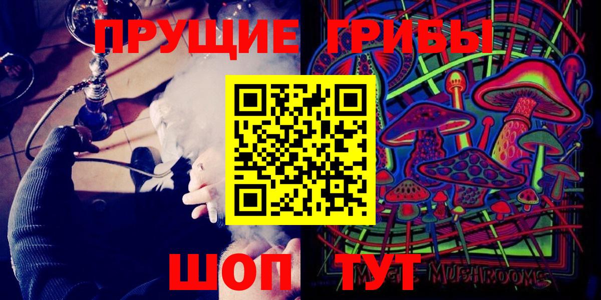 Волоколамск  Псилоцибиновые грибы Psilocybine cubensis  Вход с VPN 