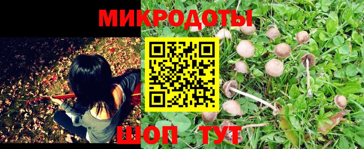Галлюциногенные грибы GOLDEN TEACHER Волоколамск